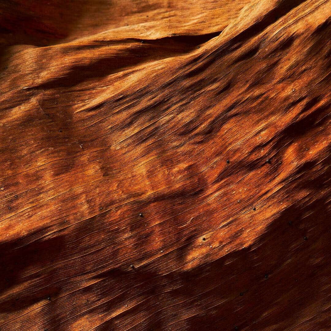 Venature di una superficie in legno naturale